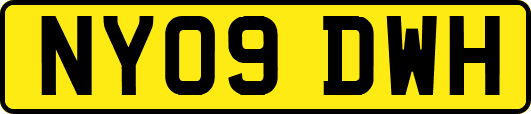 NY09DWH