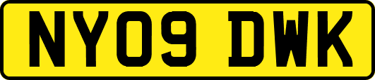 NY09DWK
