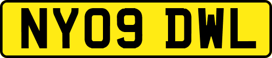 NY09DWL