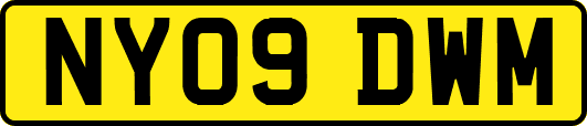 NY09DWM
