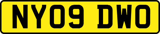 NY09DWO