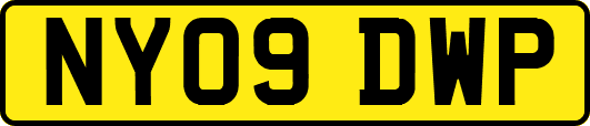 NY09DWP