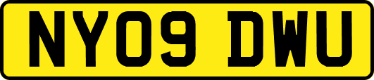 NY09DWU