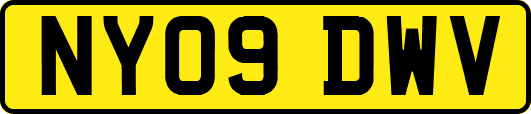 NY09DWV