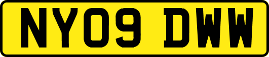NY09DWW