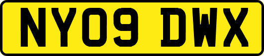 NY09DWX