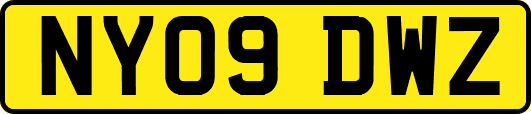 NY09DWZ