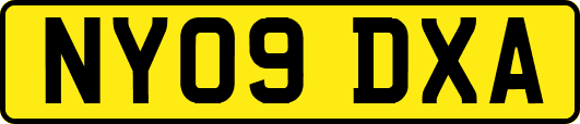 NY09DXA