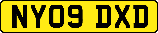 NY09DXD