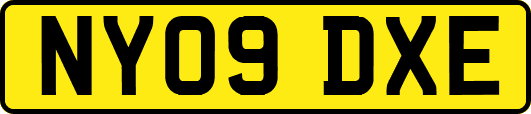 NY09DXE