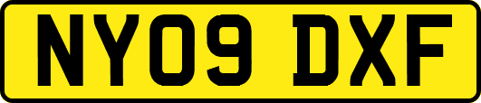 NY09DXF