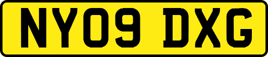 NY09DXG