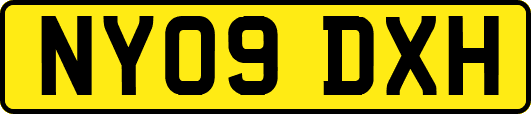 NY09DXH