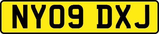 NY09DXJ