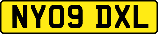 NY09DXL