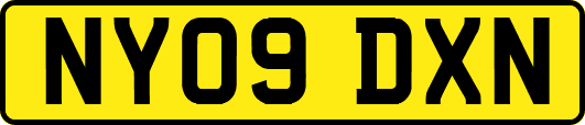 NY09DXN