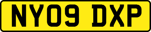 NY09DXP