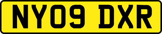 NY09DXR