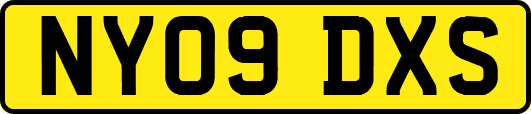 NY09DXS