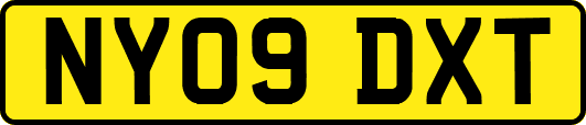 NY09DXT