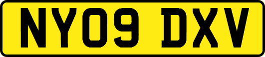 NY09DXV