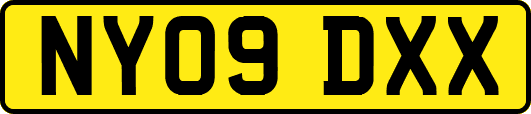 NY09DXX