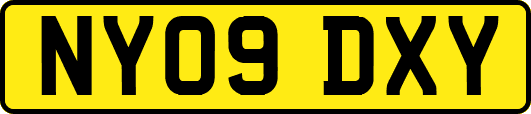 NY09DXY
