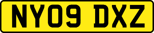 NY09DXZ