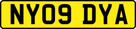 NY09DYA