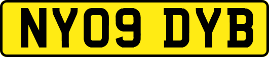 NY09DYB