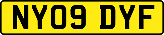 NY09DYF