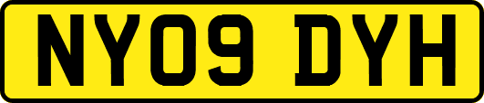 NY09DYH