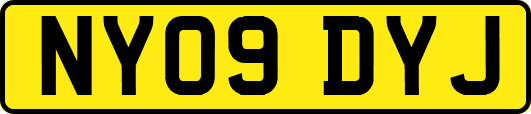 NY09DYJ