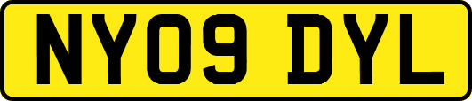 NY09DYL