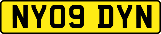 NY09DYN