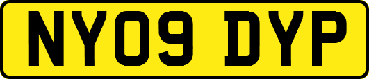 NY09DYP