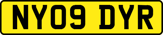 NY09DYR