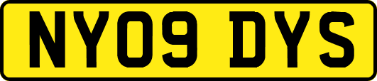 NY09DYS