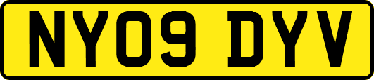 NY09DYV