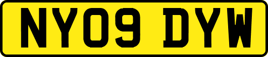 NY09DYW