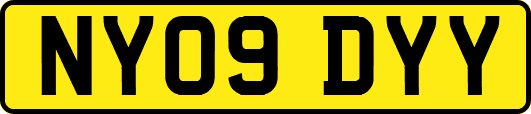 NY09DYY