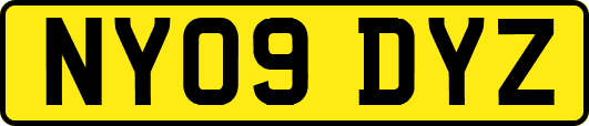 NY09DYZ