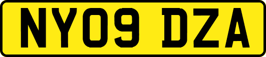 NY09DZA