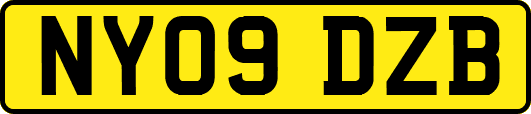 NY09DZB