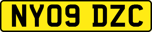 NY09DZC
