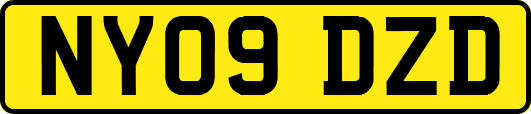 NY09DZD