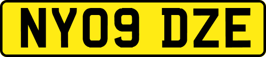 NY09DZE