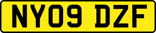 NY09DZF