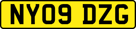 NY09DZG