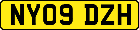 NY09DZH